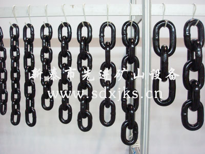 c鿴ԔϢ}Lifting short chain xΔ2317